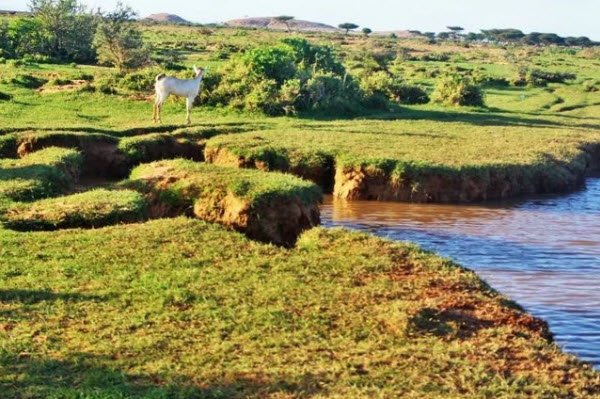 Nugaal Valley, Nugaal Region, Somalia